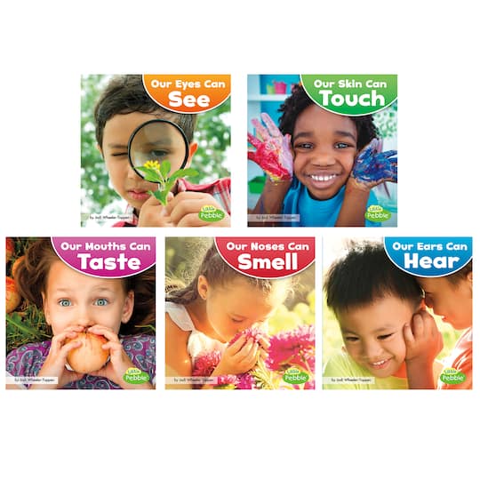Capstone Press Our Amazing Senses Set | 7" x 7" | Michaels®